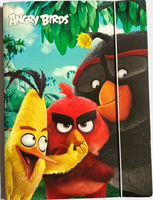 POCHETTES CARTONNEES ANGRY BIRDS