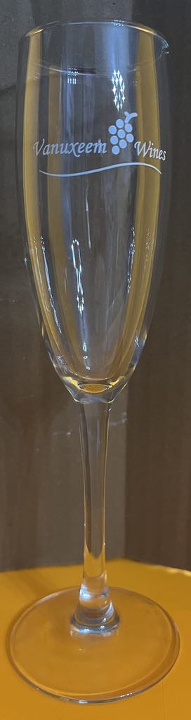 Flutes à champagne en cristal VINA 19 CL