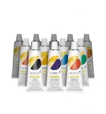 Peintures pour ongles Sibel Nails Art 13 couleurs