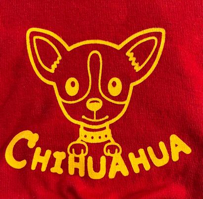 T Shirt à capuche pour petis chiens DOGGY DOLLY