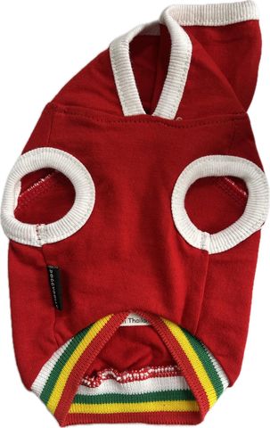 T Shirt à capuche pour petis chiens DOGGY DOLLY