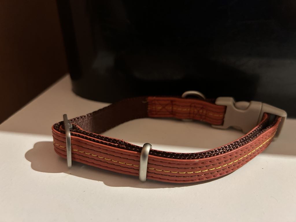 Collier Orange pour chiens NYC en 15mm*26-40 cm