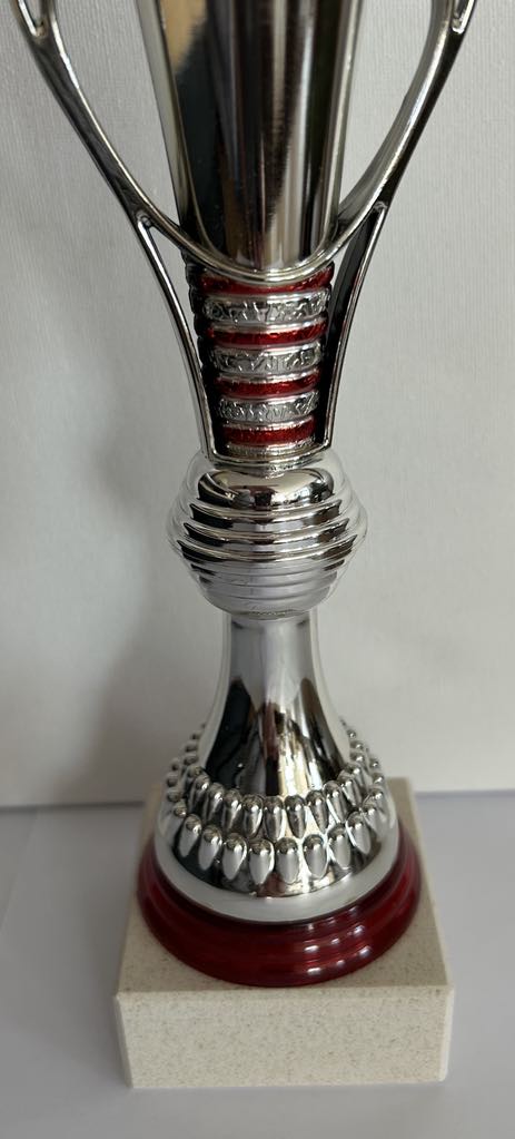 Trophée coupe argent et rouge avec anses H 30.5cm