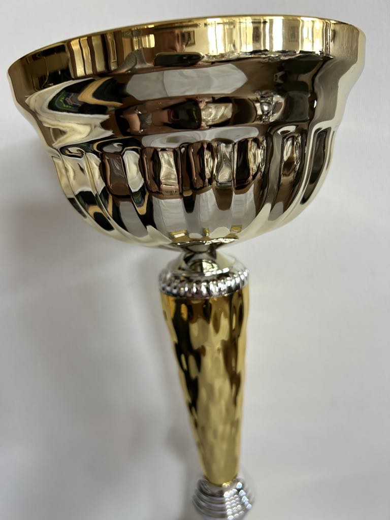 Coupe trophée or et argent , 3 tailles disponibles