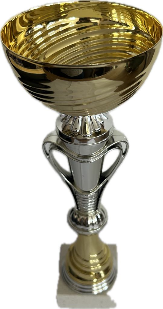Coupe Trophée or et argent avec anses, disponible en 3 tailles