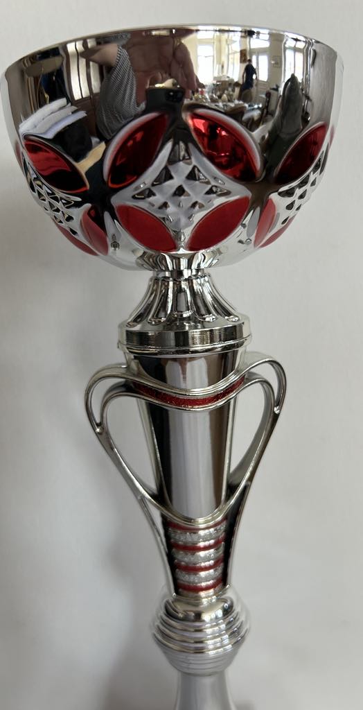 Trophée coupe argent et rouge avec anses H 30.5cm