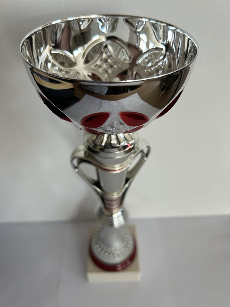 Trophée coupe argent et rouge avec anses H 30.5cm