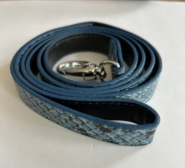 Laisse simple 120 cm Cobra bleu