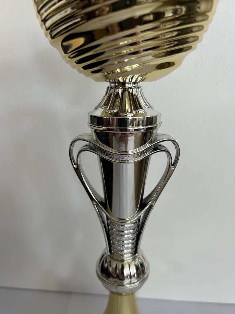 Coupe Trophée or et argent avec anses, disponible en 3 tailles