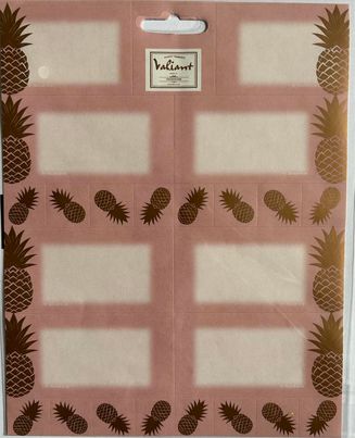 8 ETIQUETTES SCOLAIRES ANANAS VALIANT