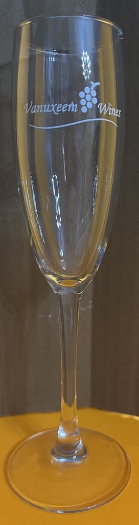 6 Flutes à champagne en cristal VINA 19 CL