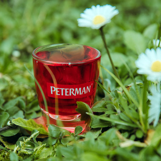 Verre à liqueur PETERMAN