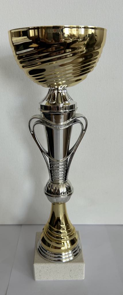 Coupe Trophée or et argent avec anses, disponible en 3 tailles