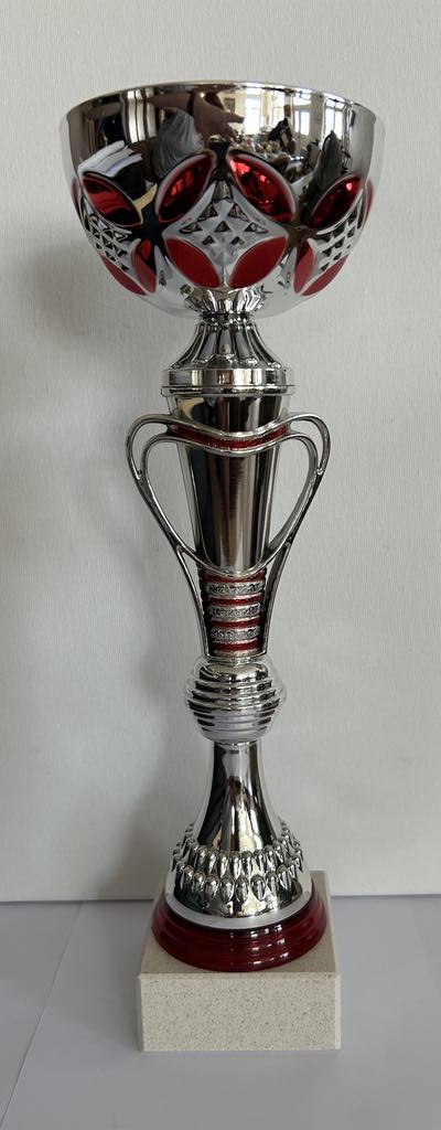 Trophée coupe argent et rouge avec anses H 30.5cm