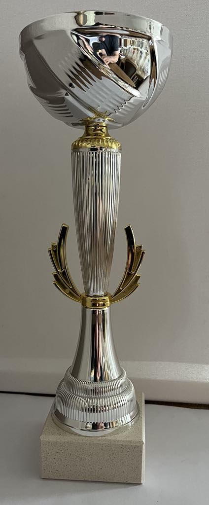 Coupe Trophée or et argent avec ailettes , disponible en 3 tailles