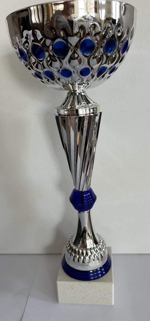 Coupe Trophée argent et bleu .Disponible en 3 tailles