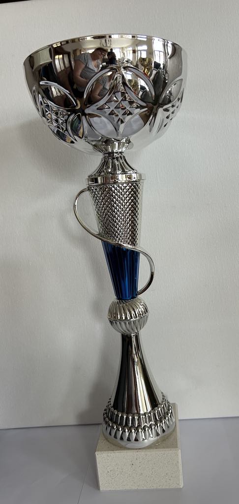 Coupe Trophée argent et bleu existe en 3 tailles