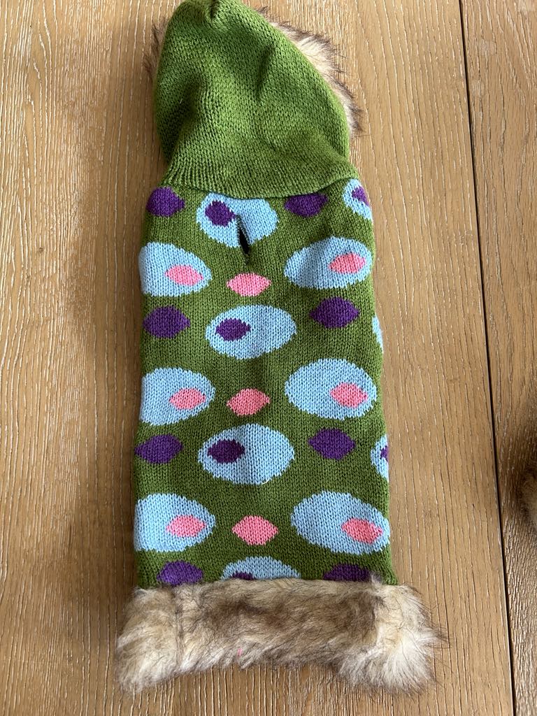 Pull à capuche pour chien vert à motifs multicolores