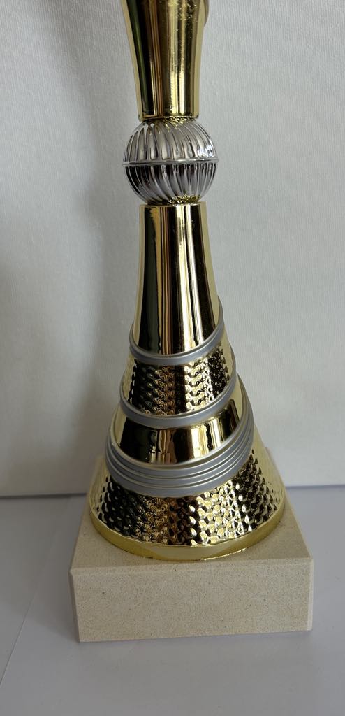 Coupe Trophée or et argent disponible en 3 tailles