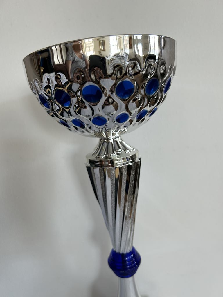 Coupe Trophée argent et bleu .Disponible en 3 tailles