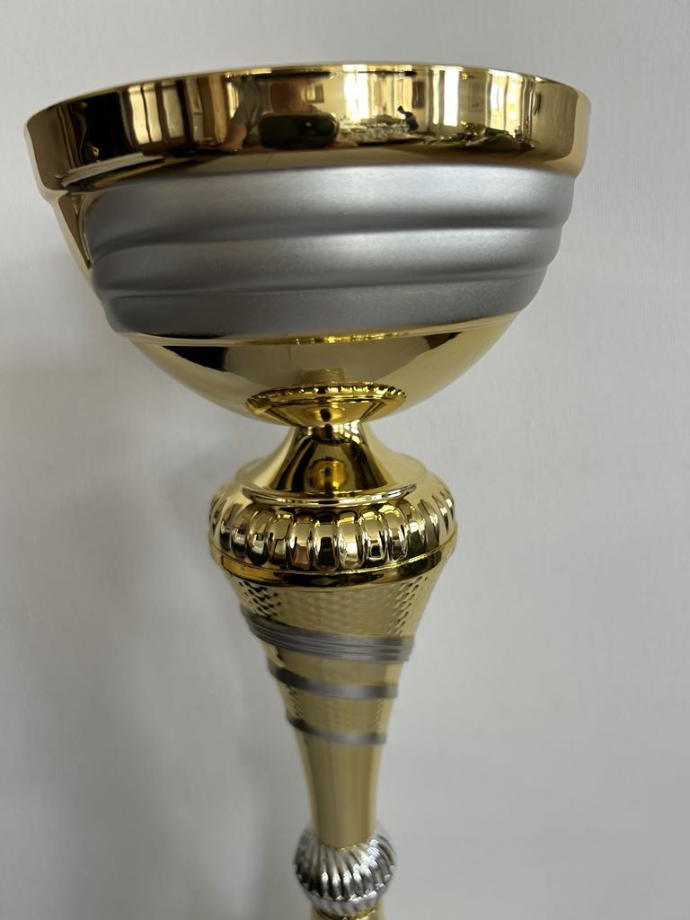 Coupe Trophée or et argent disponible en 3 tailles