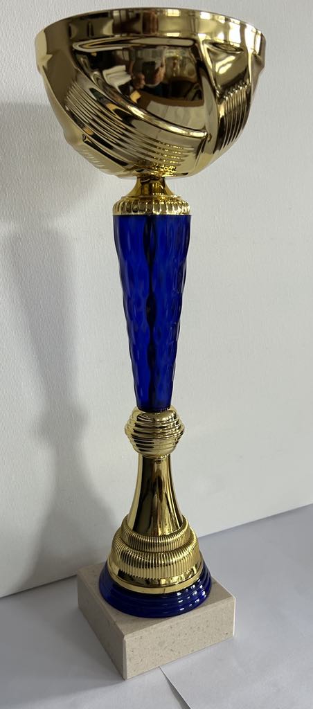 Coupe, Trophée or et bleu disponible en 3 tailles