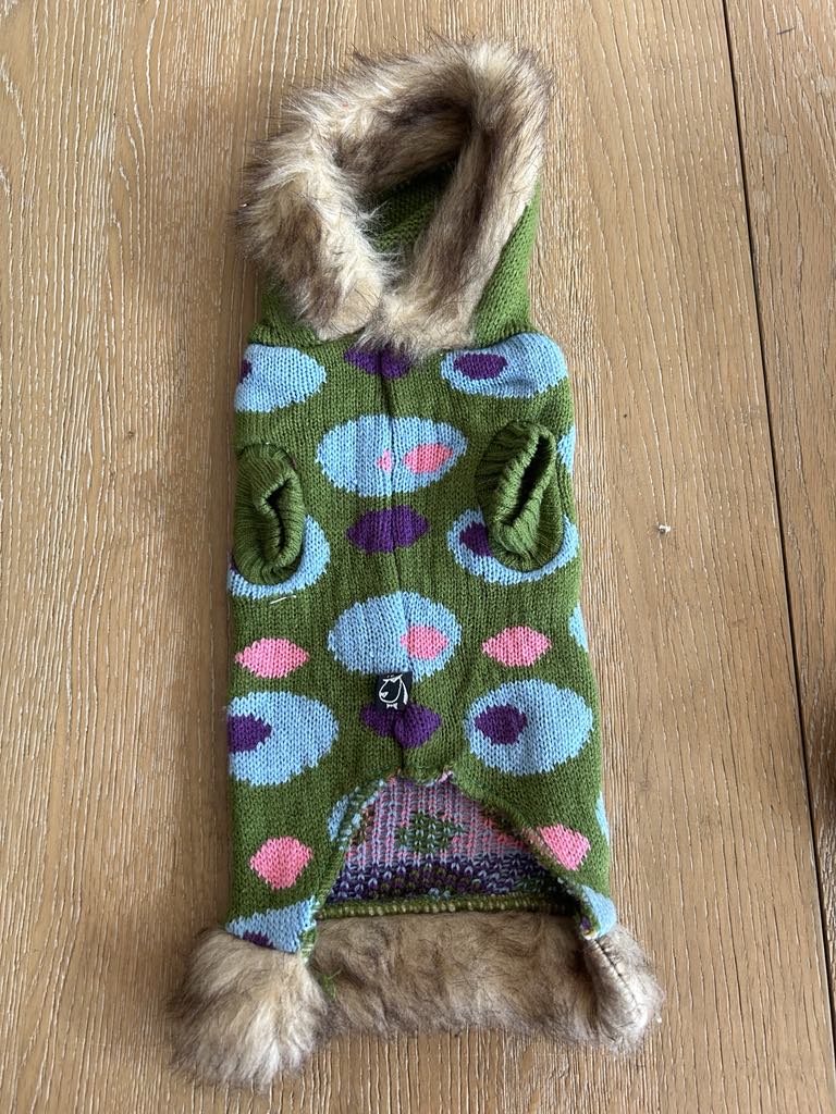 Pull à capuche pour chien vert à motifs multicolores