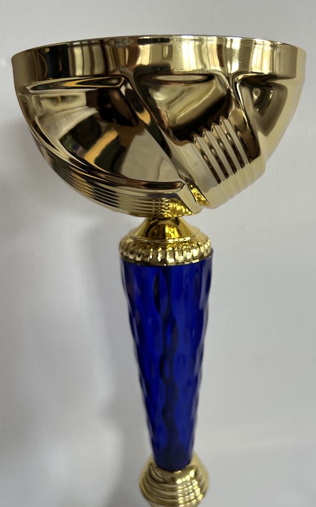 Coupe, Trophée or et bleu disponible en 3 tailles