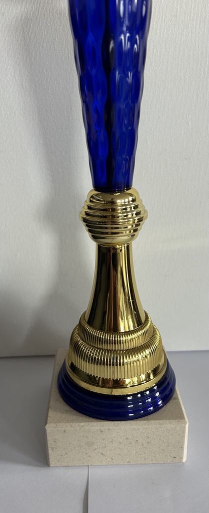 Coupe, Trophée or et bleu disponible en 3 tailles