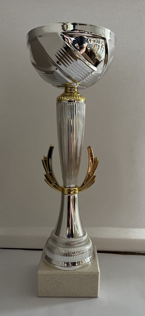 Coupe Trophée or et argent avec ailettes , disponible en 3 tailles