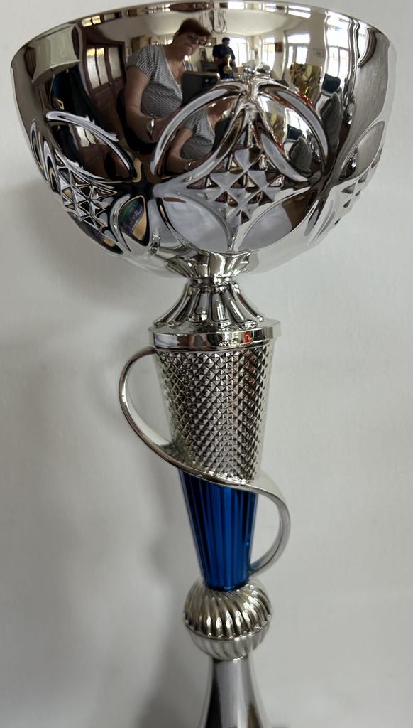 Coupe Trophée argent et bleu existe en 3 tailles