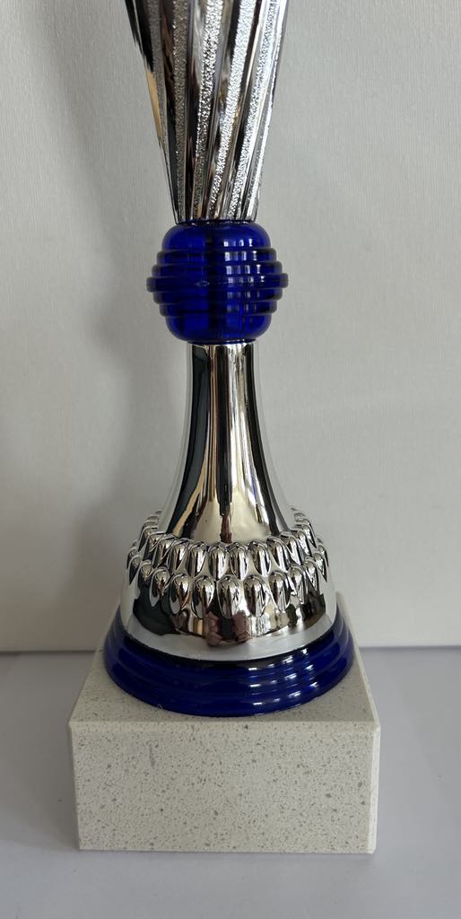 Coupe Trophée argent et bleu .Disponible en 3 tailles