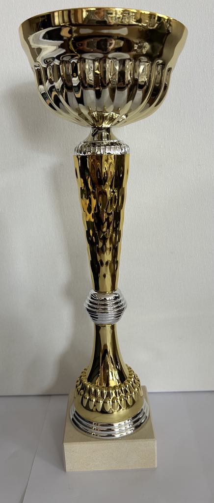 Coupe trophée or et argent , 3 tailles disponibles