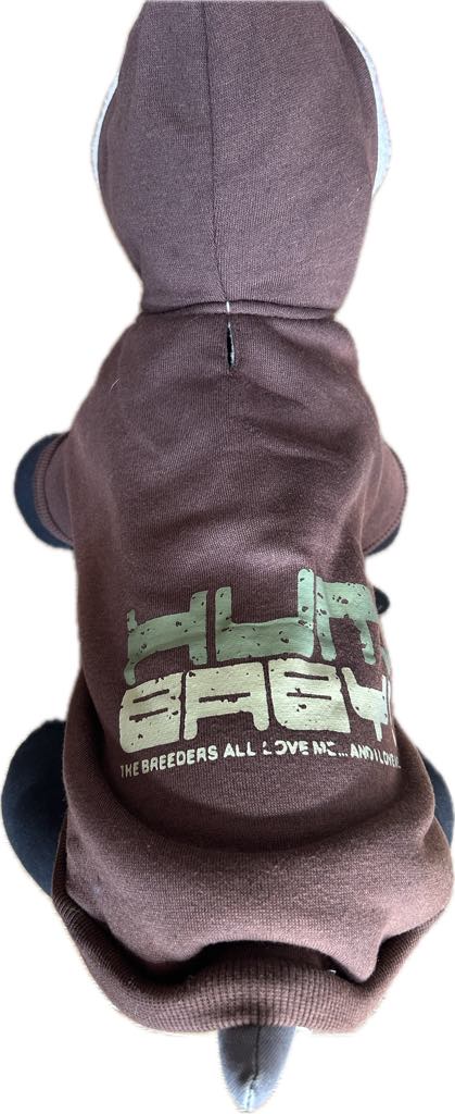 Sweat à capuches pour chiens marron marque NYC