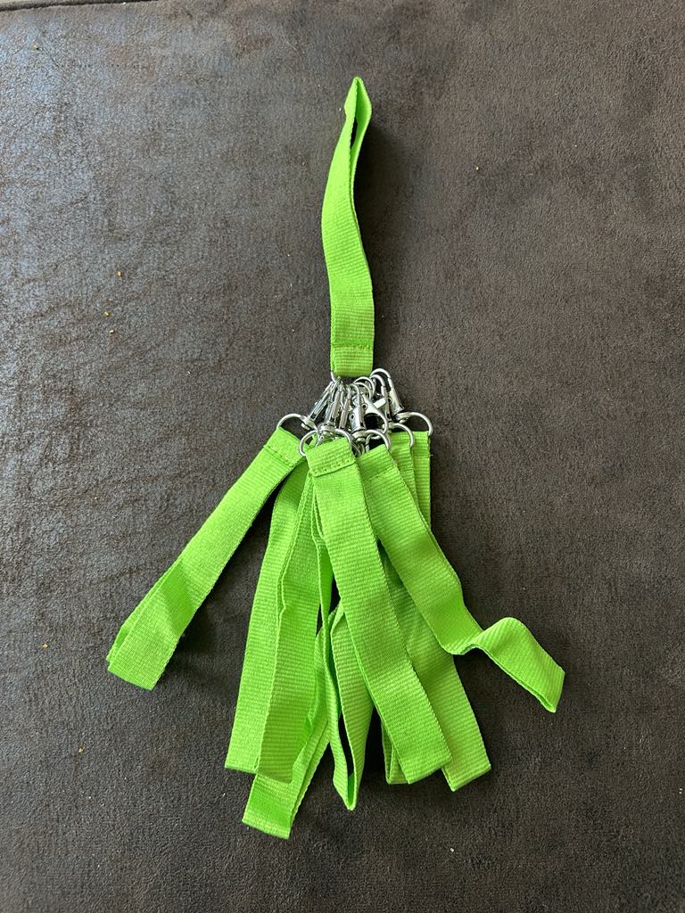 Lot de 10 sangles de poignet en tissus vert anis