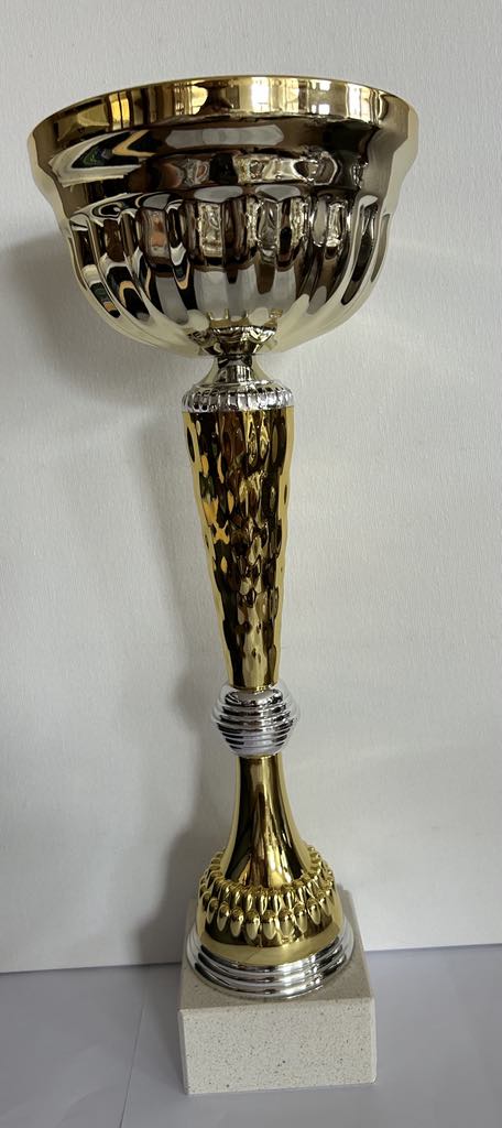 Coupe trophée or et argent , 3 tailles disponibles