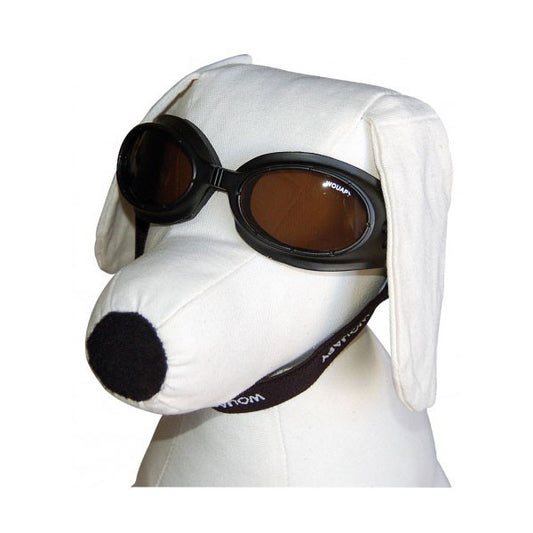 Lunettes de soleil WOUAPY pour chiens